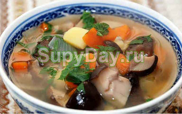 Классический рецепт супа с белыми грибами